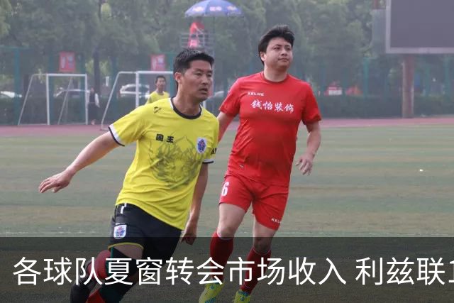 各球队夏窗转会市场收入 利兹联1.629亿高居榜首