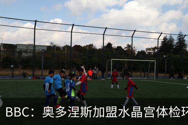 BBC：奥多涅斯加盟水晶宫体检环节出问题 球员实际伤情更加严重